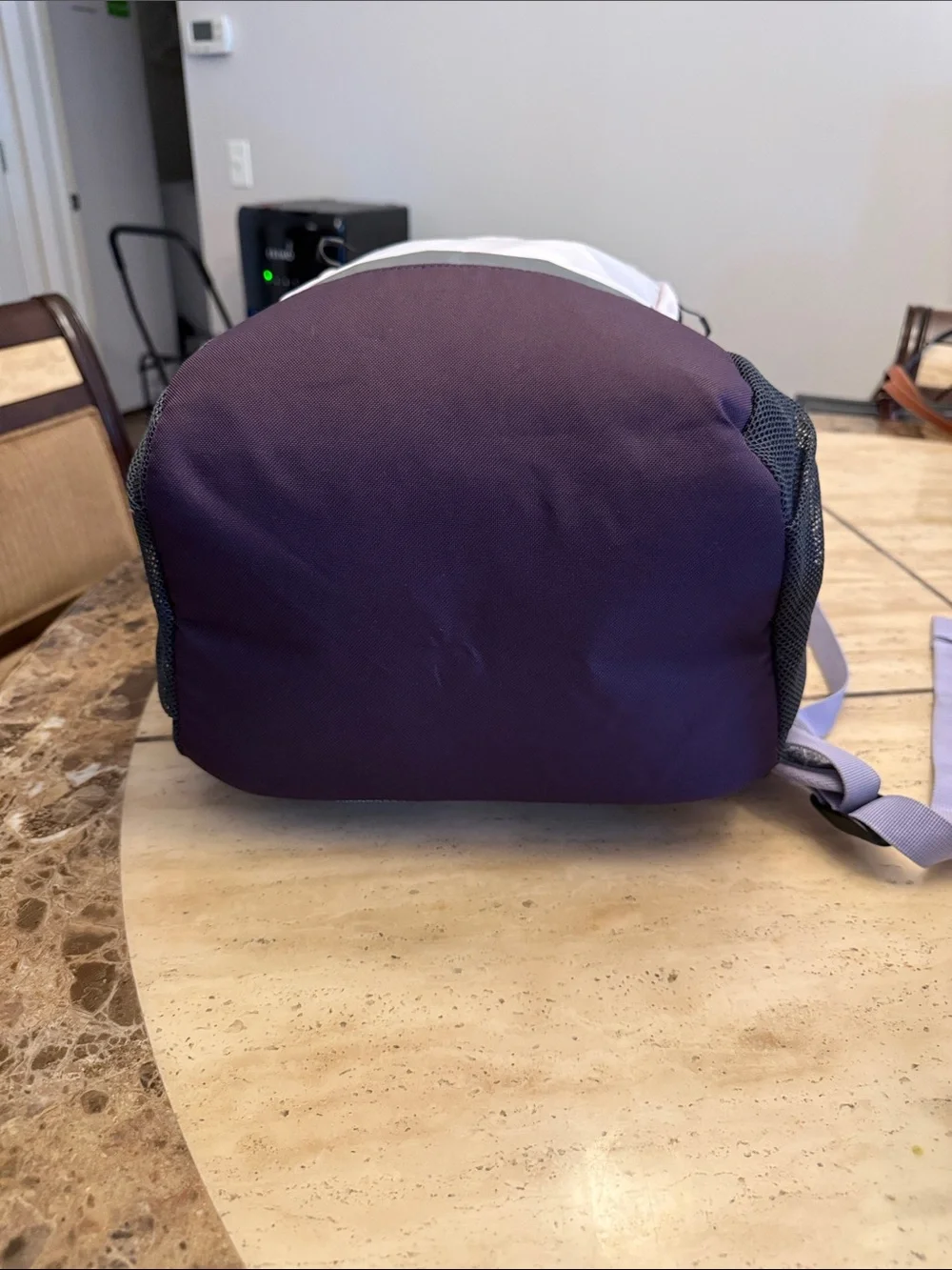 Swiss Tech Light Pink and Plum Casual Daypack